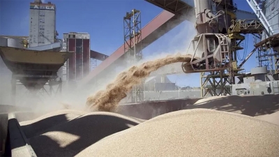Argentina abrió un mercado clave para su trigo y para todo el sector cerealero