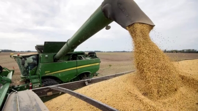 Golpe al campo: la Bolsa de Comercio de Rosario recortó las estimaciones de cosecha de soja y maíz por la ola de calor