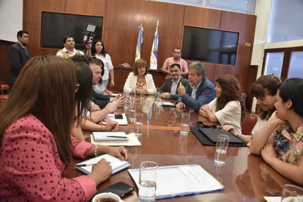 La Comisión de Derechos Humanos recibió a la ministra de Desarrollo Humano y a referentes de UNICEF Argentina