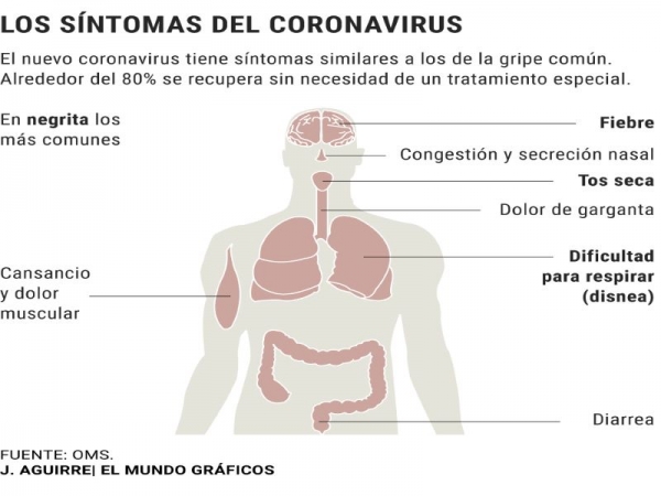 Lo que tenes que saber sobre el coronavirus