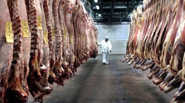Crecieron los ingresos por las exportaciones de carne