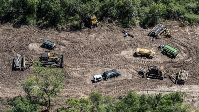 En 20 a&ntilde;os, Argentina perdi&oacute; 438 mil hect&aacute;reas de bosque primario h&uacute;medo