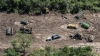 En 20 a&ntilde;os, Argentina perdi&oacute; 438 mil hect&aacute;reas de bosque primario h&uacute;medo