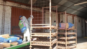 Acompa&ntilde;amiento a peque&ntilde;os productores tabacaleros