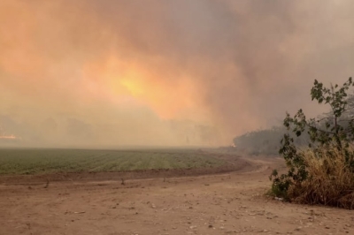 Por s&eacute;ptimo d&iacute;a el incendio en las Yungas atenu&oacute; su avance