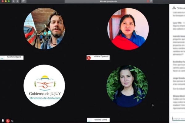 Agenda ambiental y los efectos de la pandemia