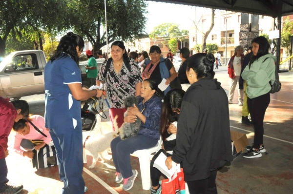 Se esterilizaron 100 mascotas en Mariano Moreno