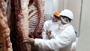 Rige acuerdo en preciso de las carnes