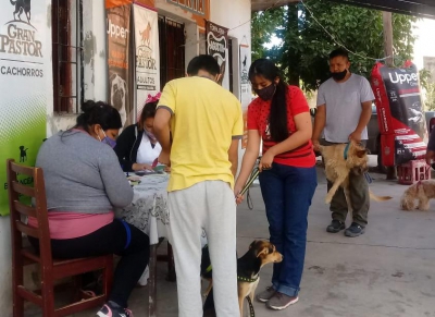 Contin&uacute;a la vacunaci&oacute;n antirr&aacute;bica gratuita en capital