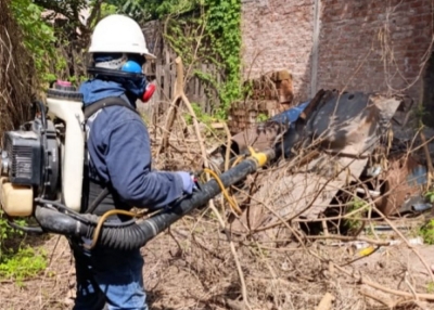 Refuerzan prevenci&oacute;n. Se registran 9 casos Chikungunya en Jujuy
