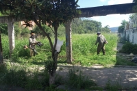 El municipio capitalino realiza intensas labores de poda y desmalezado
