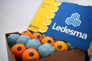 En un contexto externo complicado, Ledesma volvi&oacute; a liderar las exportaciones argentinas de c&iacute;tricos