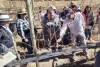 Capacitaci&oacute;n en viticultura de precisi&oacute;n
