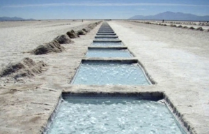 Minera radicada en Jujuy integrar&aacute; una compa&ntilde;&iacute;a gigante y l&iacute;der de litio