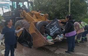 Jujuy suma a la fecha 49 casos confirmados de chikungunya
