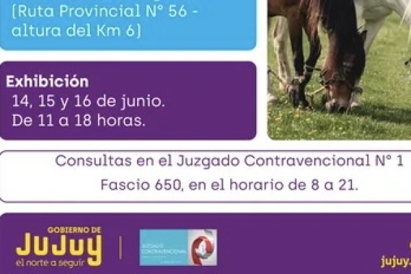 Subasta P&uacute;blica Contravencional