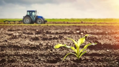 Mejora el pron&oacute;stico para el campo y se aleja la posibilidad de una nueva sequ&iacute;a