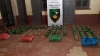 Incautaron 100 kilos de hojas de coca