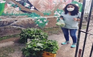 Donan verduras orgánicas de huerta municipal