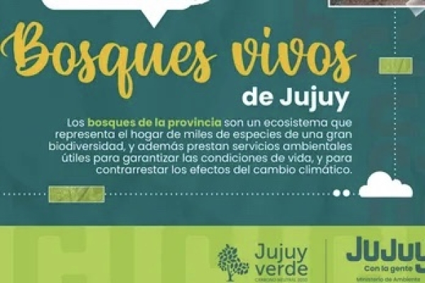 Bosques Vivos de Jujuy: se abre el concurso de fotograf&iacute;a ambiental del a&ntilde;o