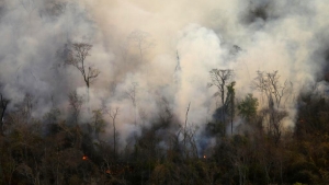 Incendios forestales: reporte del trabajo para sofocar el foco &iacute;gneo