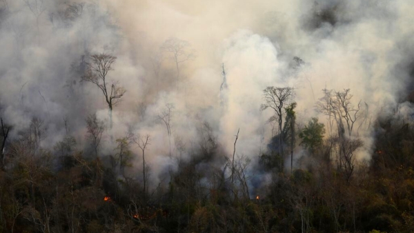 Incendios forestales: reporte del trabajo para sofocar el foco &iacute;gneo