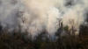 Incendios forestales: reporte del trabajo para sofocar el foco &iacute;gneo