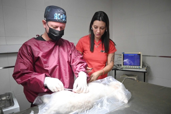 Zoonosis acerca el Quir&oacute;fano Externo a los barrios Huaico y Che Guevara