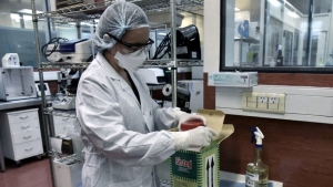 Informan 11.249 nuevos casos de coronavirus en el pa&iacute;s y el total asciende a 702.484