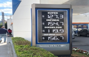 Combustibles, tercera suba del a&ntilde;o y "siguen con atraso"