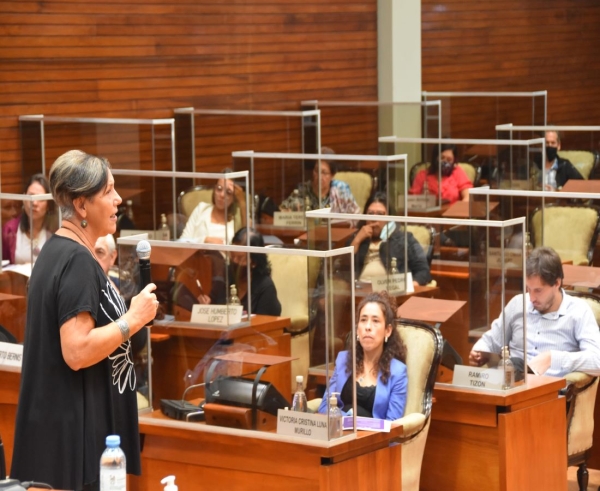 Diputados se capacitaron en Ley Micaela