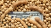 Afirman que restan comercializarse 7 millones de toneladas de soja y hay dudas sobre la implementaci&oacute;n del "d&oacute;lar agro"