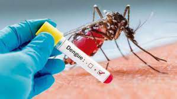 Jujuy registró en la última semana 44 nuevos casos de dengue
