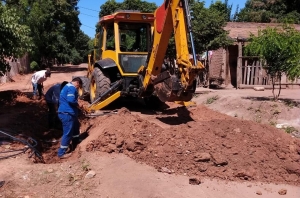 Ampl&iacute;an red cloacal en Yuto