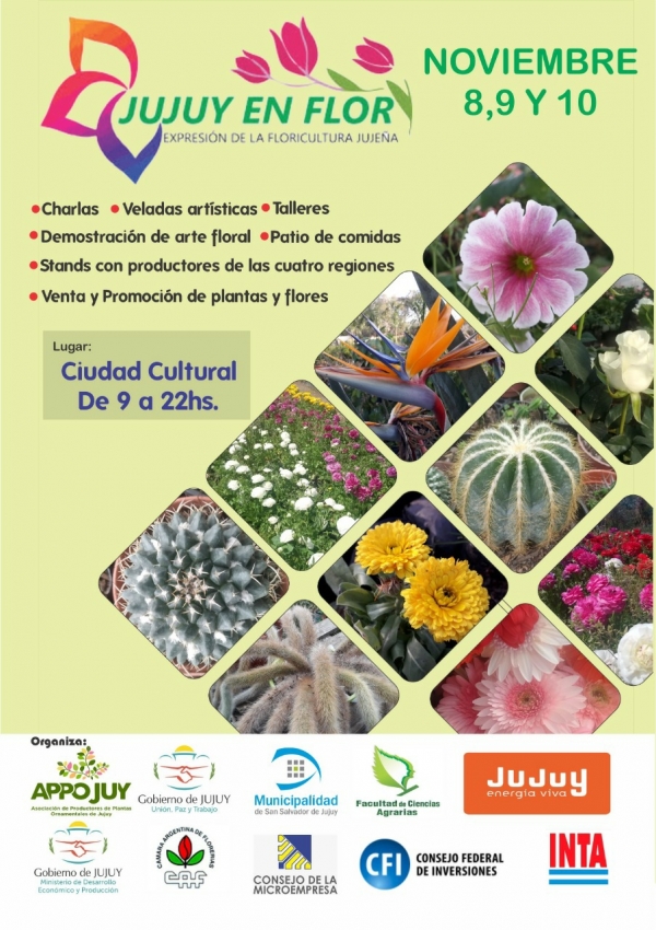 ESTE VIERNES INICIA &laquo;JUJUY EN FLOR&raquo; EN CIUDAD CULTURAL