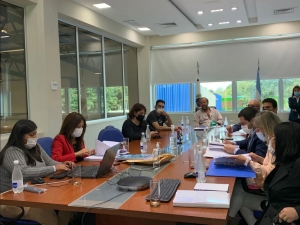 Ofertas por limpieza y tratamiento de las Lagunas de El Pongo