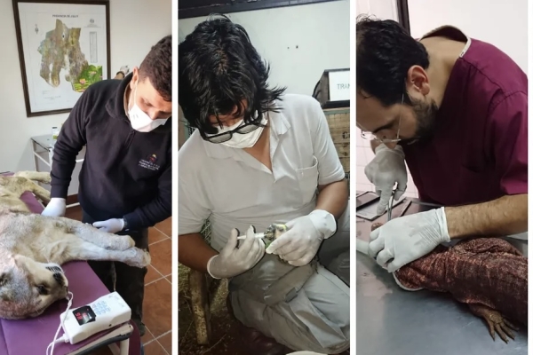 Contravenciones podr&aacute;n compensarse con acciones ambientales