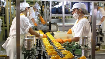 Una de cada cuatro empresas industriales anticipa que despedir&aacute; personal en los pr&oacute;ximos 60 d&iacute;as