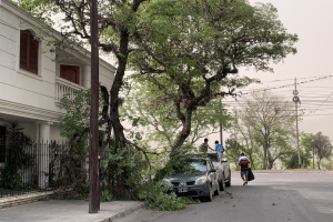 Repuesta municipal tras el temporal del d&iacute;a domingo en la ciudad
