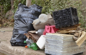 Chikungunya: Jujuy registra 63 casos y evalúan otros 19