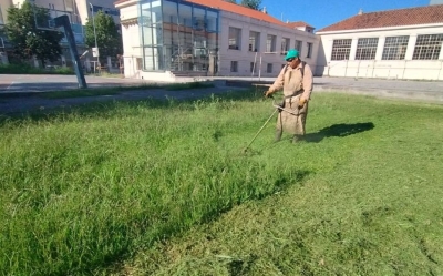 Ciclo Lectivo 2025:  desmalezamiento de edificios escolares