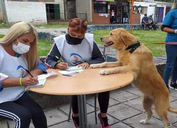 Récord de mascotas vacunadas contra la rabia en Capital