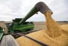 Aseguran que el nuevo d&oacute;lar soja no genera incentivos suficientes para que el productor liquide