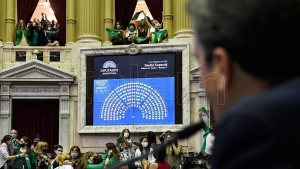 El aborto legal en la Argentina ya tiene media sanci&oacute;n