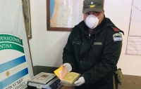 Secuestran más de cinco kilos de cocaína en tres procedimientos en micros al norte de Jujuy
