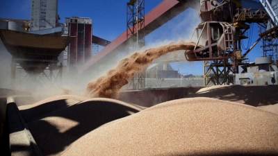 Las exportaciones de granos podrían superar un &quot;hito histórico&quot; de US$ 40.500 millones