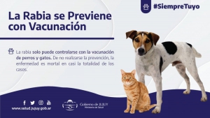 La rabia se previene con vacunaci&oacute;n