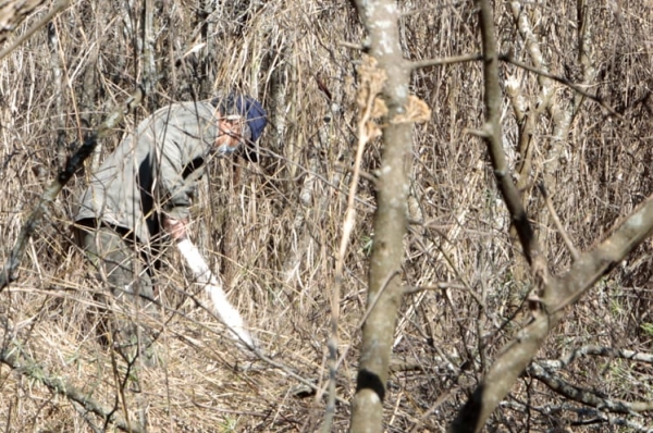Acondicionan espacio verde para transformarlo en un paseo p&uacute;blico