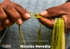 Propuesta.Muestras fotográficas del artista Nicolás Heredia