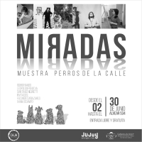 Habilitar&aacute;n en junio la muestra "Miradas"